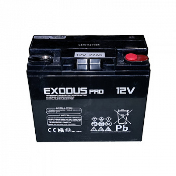 Батарея аккумуляторная 22 А*ч для Bocia EVO 12/24 / F4000-2 (LEM)   